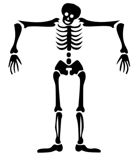 Halloween Skeleton Png Background Image Png Arts