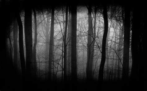 Dark Forest Wallpapers Paisagens