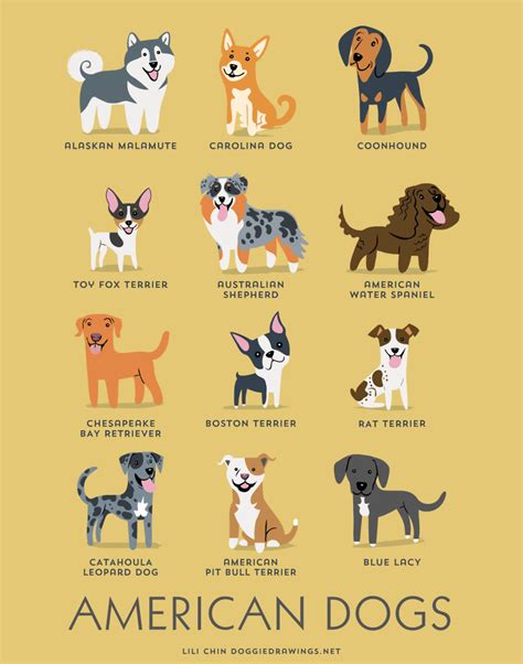 Browse Our List Of 192 Dog Breeds To Find The Perfect Dog Breed For You