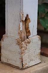 Termite Damage Repair Greenville Sc Pictures
