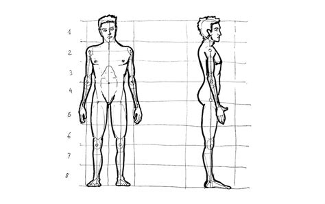 como dibujar un cuerpo humano images