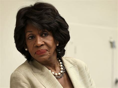 maxine waters the democratic rep heavily criticised