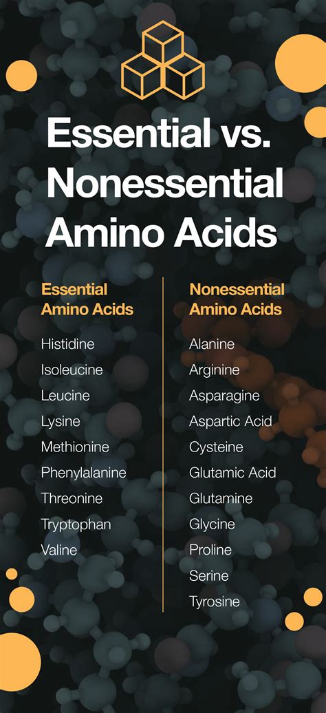 Back To The Basics An Overview Of Amino Acids The Amino Company