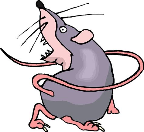 Free Animated Clipart Rats
