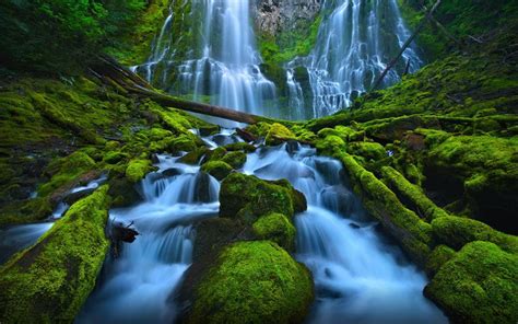 Beautiful Waterfall Rocks Green Moss Proxy Falls Eugene