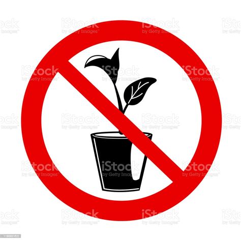 No Houseplants Prohibition Sign Forbidden Icon With Flower Pot White