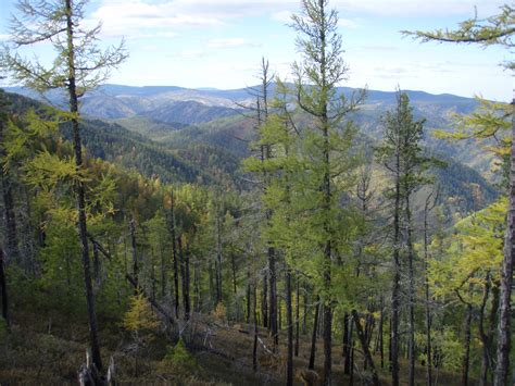 A Anni Scompare Nella Taiga Siberiana Vivo Dopo Giorni IlGiornale It