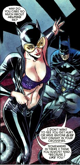 The New 52 Catwoman And Batman Batman Catwoman Catwoman Catwoman