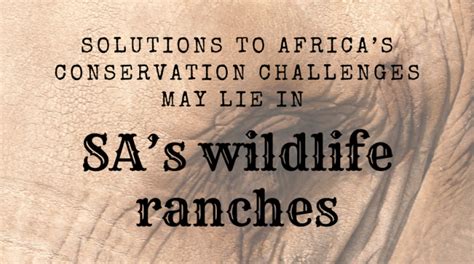 Solutions To Africas Conservation Challenges May Lie In Sas Wildlife