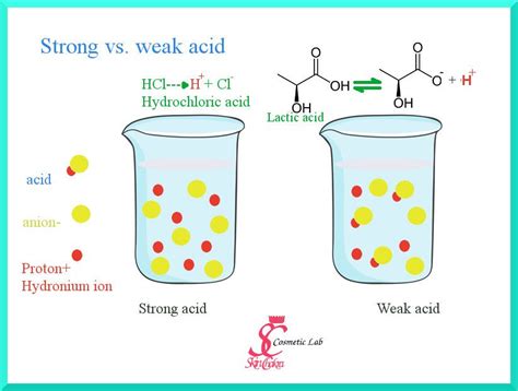 Strong Acid And Weak Acid Corbinkruwallen