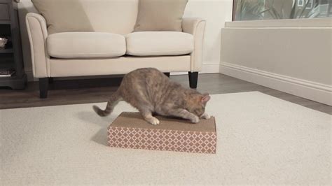 Smartykat® Super Scratcher® Brick Corrugated Cat Scratcher With Catnip