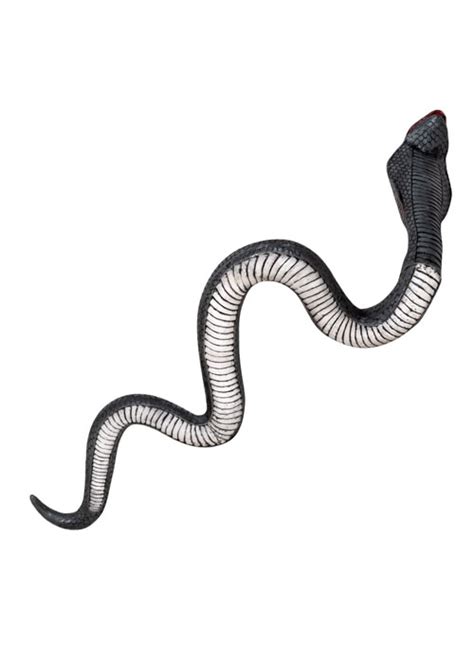 Halloween Large Cobra Black Prop Rubber Snake 72265 Struts Party