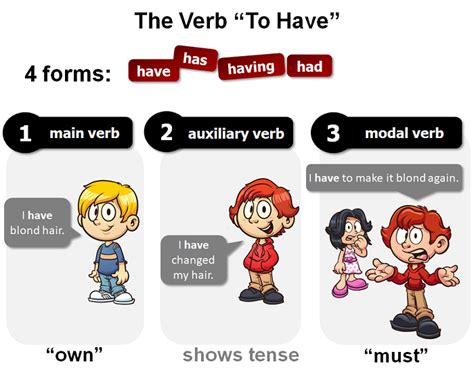 The Verb To Have In English