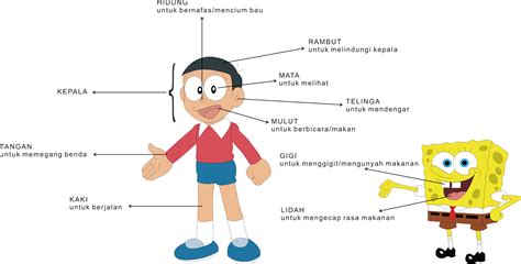 Gourmet buah templat psd vektor file png gratis untuk desain. Latihan Soal IPA Kelas 1 SD Semester 1 | Buat Belajar Anak