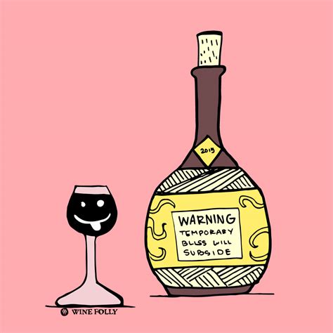 Why Drink Wine Comic Wine Folly