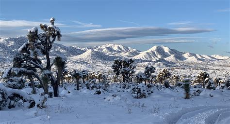 Snow In Joshua Tree National Park Over Christmas