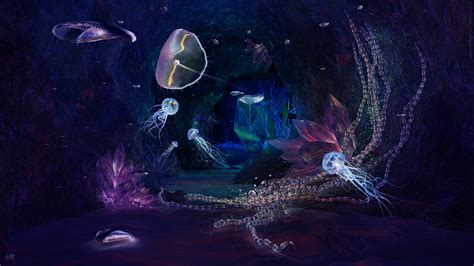 Jellyfish Sealife Underwater Fishes Colors Art
