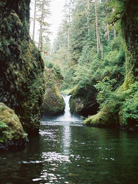 1000 Images About Northwest Hiking Trails On Pinterest