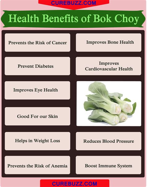 10 Health Benefits Of Bok Choy Curebuzz