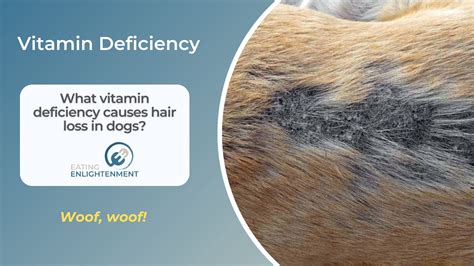 What Vitamin Deficiency Causes Hair Loss In Dogs — Eating Enlightenment