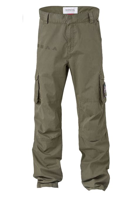 Download Cargo Pant Png Hq Png Image Png Vibrant Colors