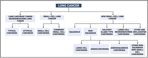 Cancers Free Full Text Non Invasive Biomarkers For Early Lung Cancer Detection