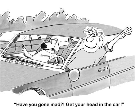 Top 155 Funny Insurance Cartoons