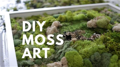 Set Of 3 Moss Frames 8x8 Preserved Moss Moss Wall Art Vertical
