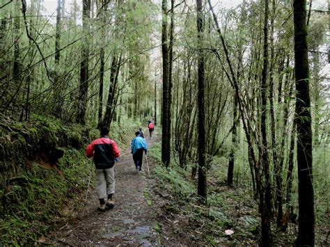 Hiking In Sikkim Explore Yourself Amidst The Alluring Beauty Of