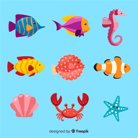 Premium Vector Marine Life Character Collection