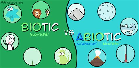 Biotic And Abiotic  By The Amoeba Sisters Abiotic Teaching