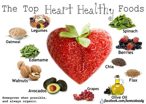 5 Foods That Can Improve Your Heart’s Health Primary Medical Care Center For Seniors In Miami