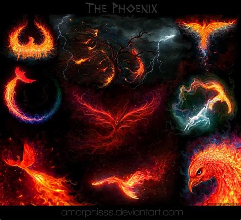 Pin By Phoenix Xineohp On Phoenix Bird Phoenix Design Phoenix Images