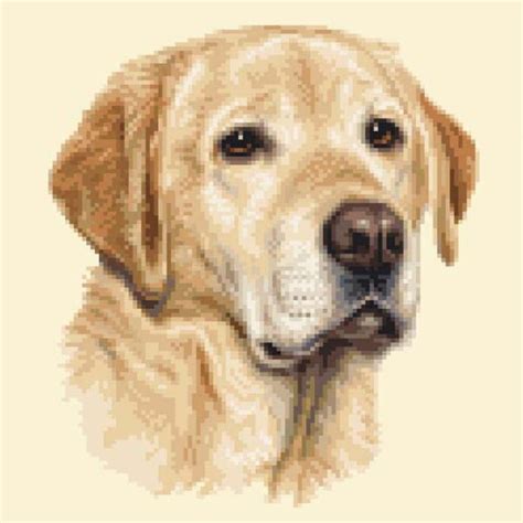 Machine embroidery cross stitch design. Shop - Jann Designs