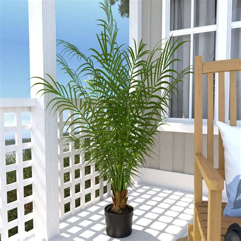 Our artificial bonsai trees are a great way to decorate any setting without the care needed for a real bonsai tree. Beachcrest Home Silk Areca Palm Tree in Pot & Reviews ...