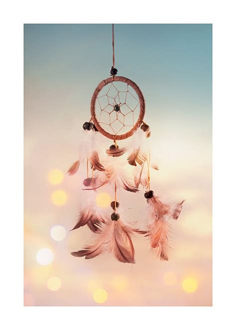 Dreamcatcher with Feathers Poster