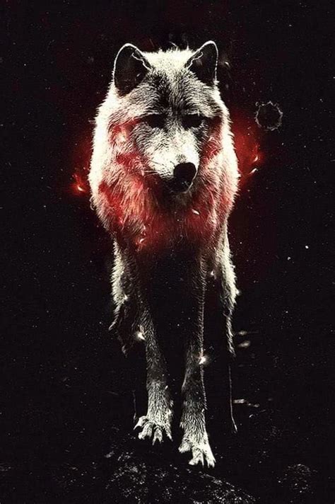 34 Cool Wolf Iphone Wallpapers