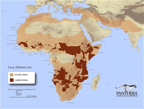Lion Range Map Historic And Present Distribution The Lion Is Known As