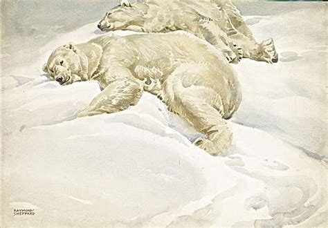 Polar Bears Circa 1950 Liss Llewellyn