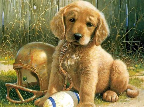 Download hd wallpapers tagged with cute from page 1 of hdwallpapers.in in hd, 4k resolutions. Animals Zoo Park: 8 Cute Puppies Wallpapers, Cute Puppy ...