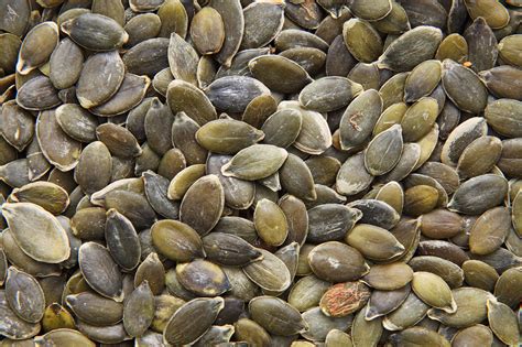Pumpkin Seeds Free Stock Photo Public Domain Pictures