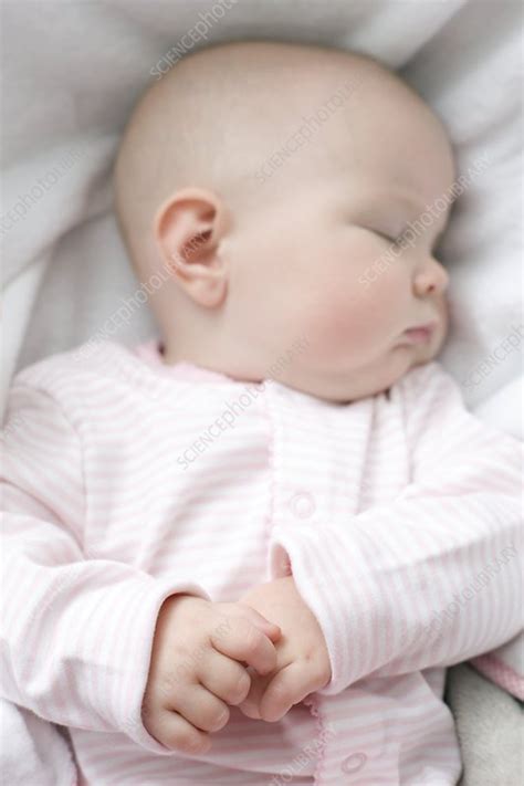 Sleeping Baby Stock Image F0024887 Science Photo Library