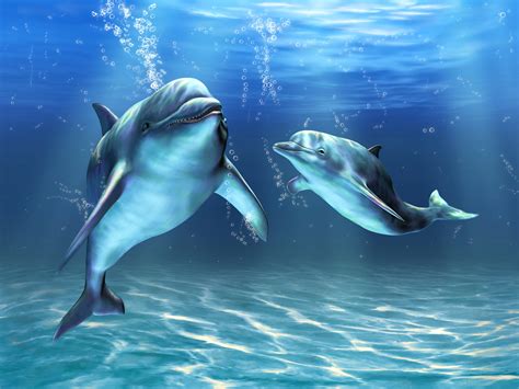 Foto Delfine Unterwasserwelt 2 Tiere