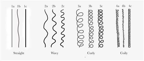 Understanding Hair Types Myhair