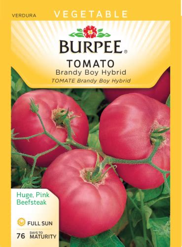 Burpee Brandy Boy Hybrid Tomato Seeds 1 Count Kroger