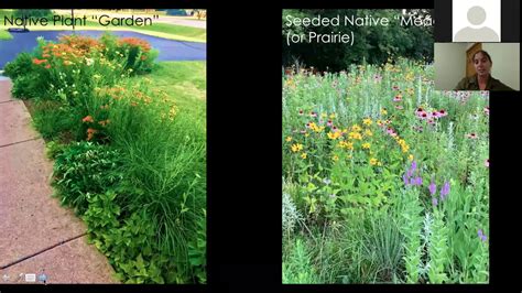 Convert Lawn To A Wildflower Meadow With Seed Webinar Youtube
