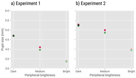 The Effect Of Pupil Size And Peripheral Brightness On Detection And