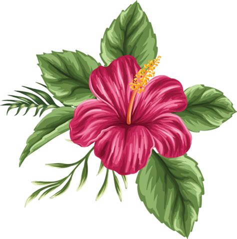 Flower drawing, Flower painting, Flower clipart