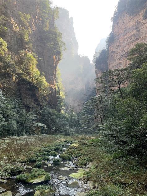 La Forêt Minérale De Zhangjiajie En Chine Du Sud Lunivers De La Géologie
