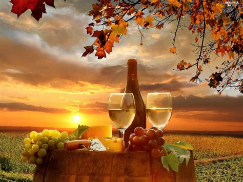 Barrel Oak Autumn Field Sun Wine Grape West Beautiful Views